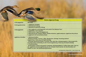 ablauf inhalte jeagerpruefung uebersicht jagdausbildung 300x200