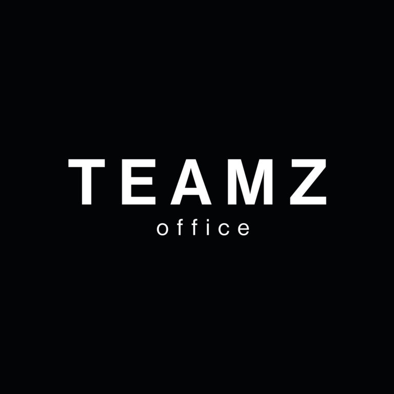 Teamz logo 768x768