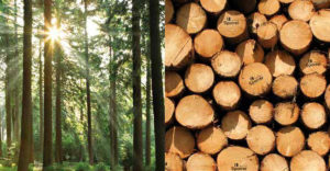 sporrer holzindustrie hero 300x156