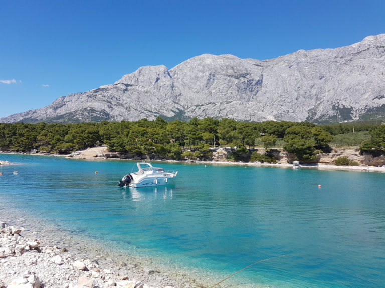 20200504 142618 768x576