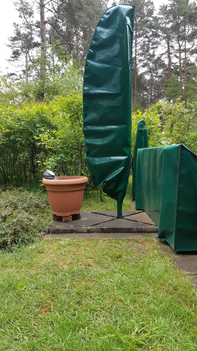 20210522 184333 768x1365