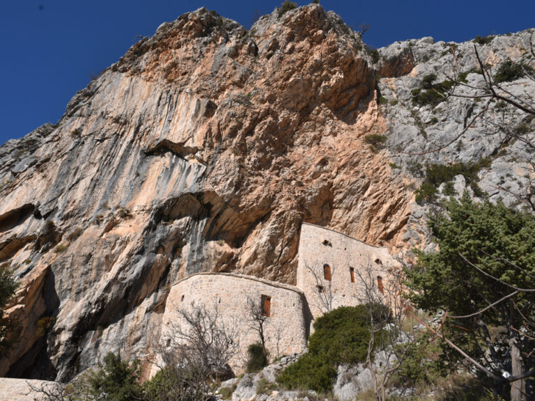 DSC 9135 index 768x576