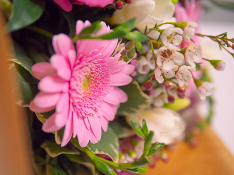 Screen Scanda March BOU14 82 2022 7 768x576