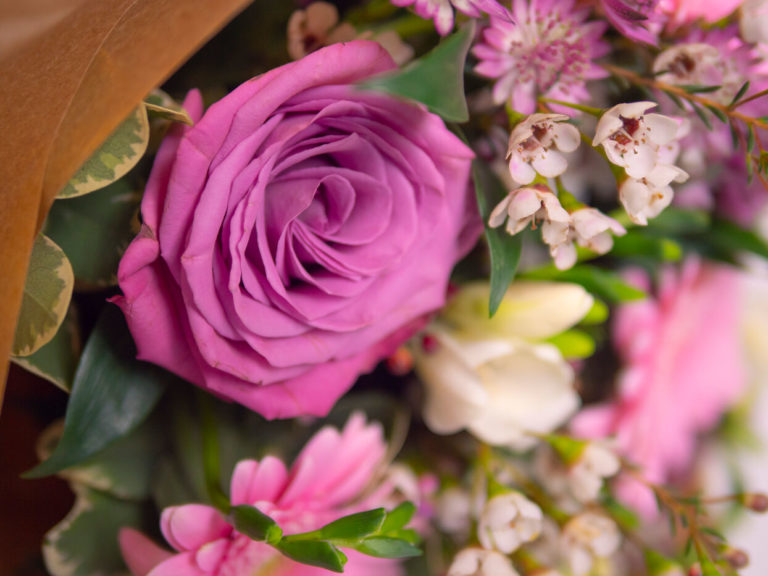 Screen Scanda March BOU14 82 2022 8 768x576