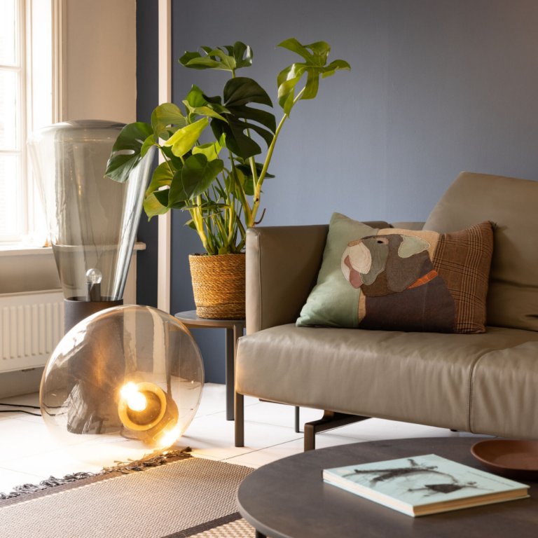 Zimmerpflanzen von Euroflorist IX 1080x1080 768x768