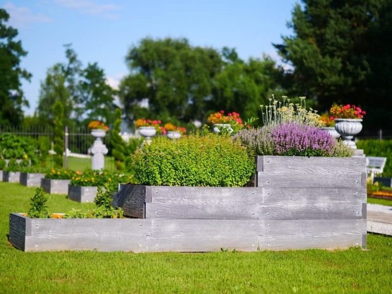 hochbeet hoch 768x576