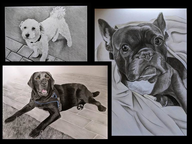 tierportraits schwarzweiss 768x576