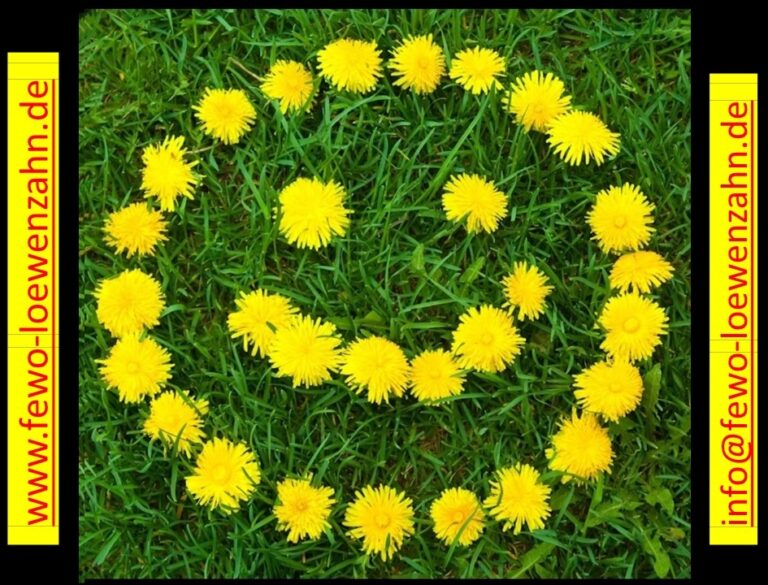 Loewenzahn Smily NEU 768x585