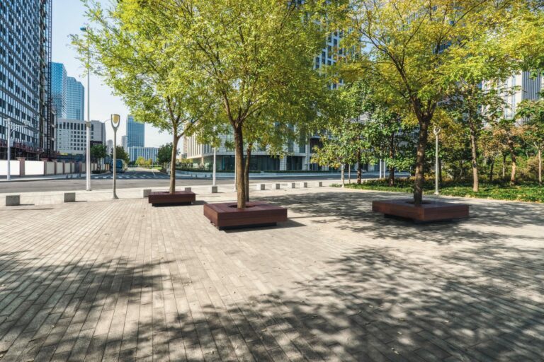 211 M01471900 A Panca Pedana istockphoto 873775432 2048x1365 1 768x512