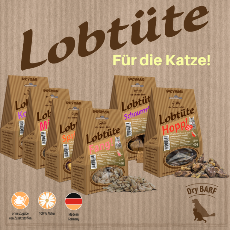 BF Lobtuete Katze 768x768