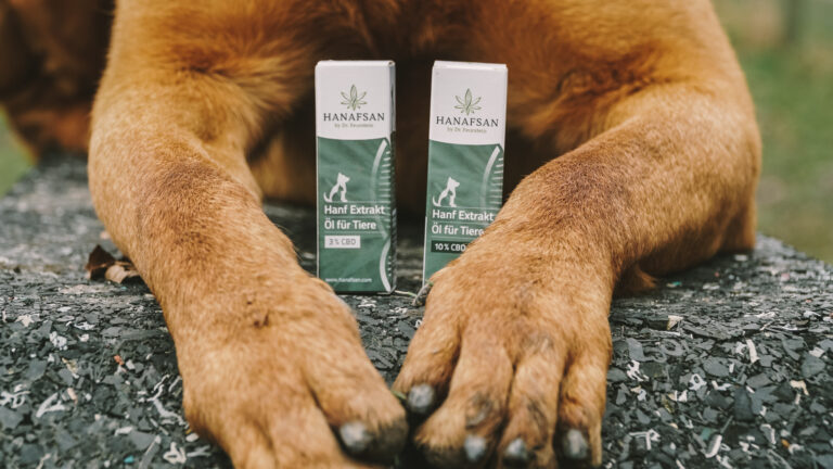 Einfach Tierschutz eV und CBD Partner HANAFSAN 768x432