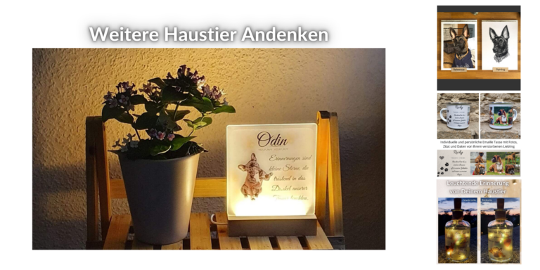 andenken haustier bilder kohlezeichnung 768x384