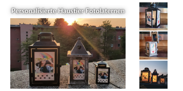 foto laternen grablicht haustier bilder 1 1 768x384