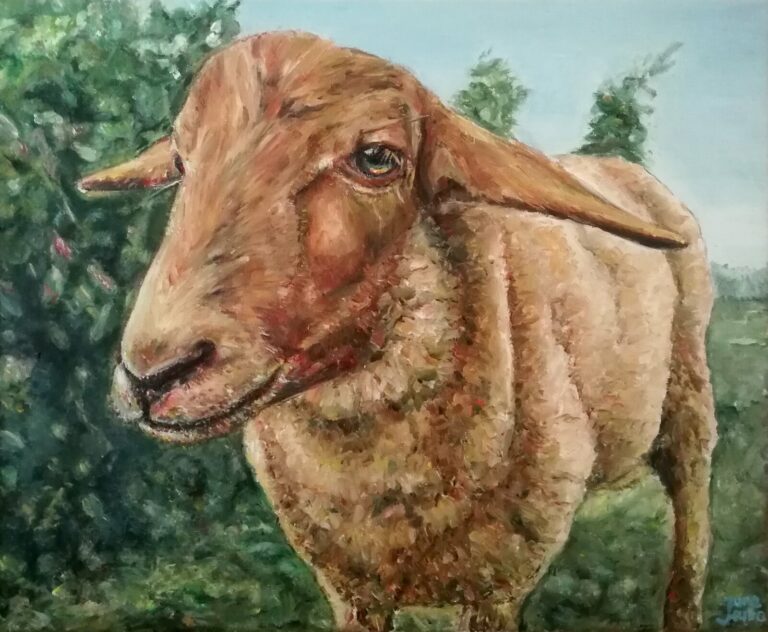 Brown Sheep by Jura Kuba Art Oil painting on stretched canvas 46 x 38 cm 768x632