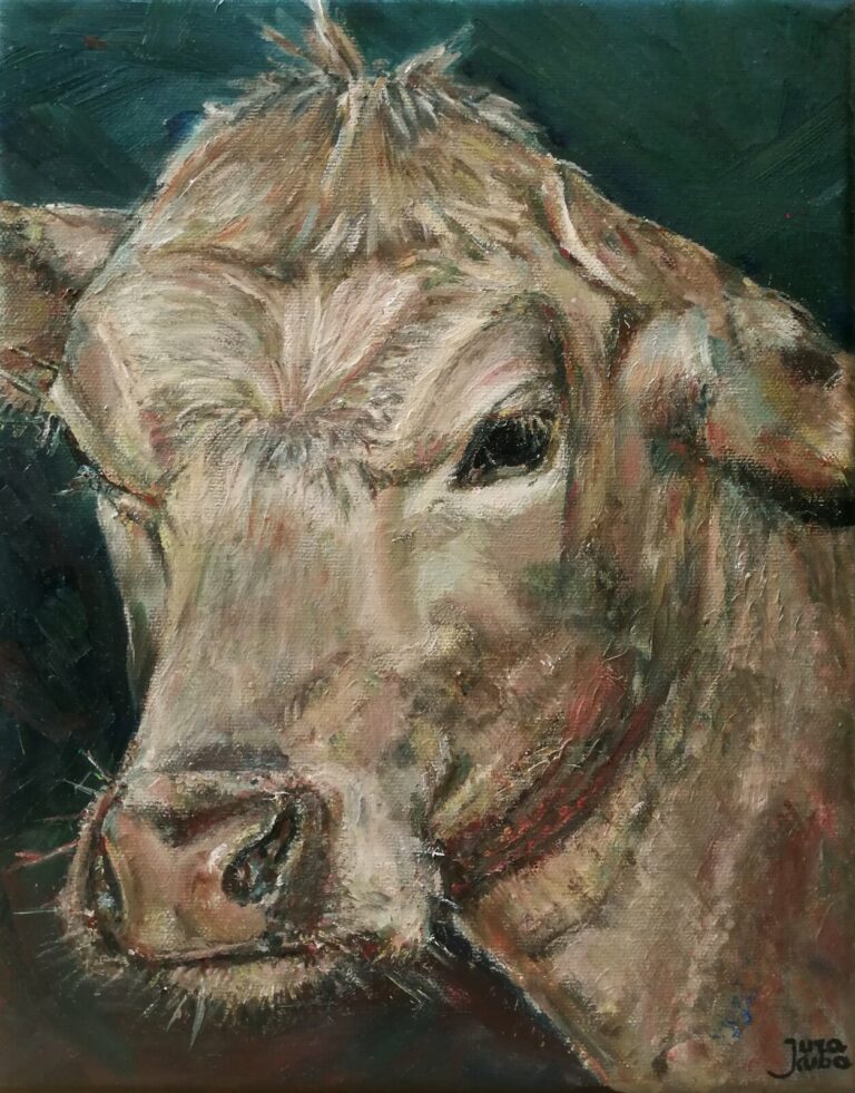 Cows Portrait by Jura Kuba Art Oil painting on stretched canvas 30 x 24 cm 768x981