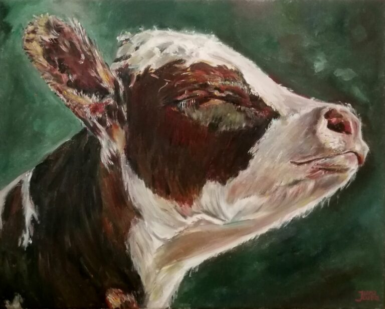 Lucky Cow by Jura Kuba Art Oil painting on framed stretched canvas 50 x 40 cm 768x615
