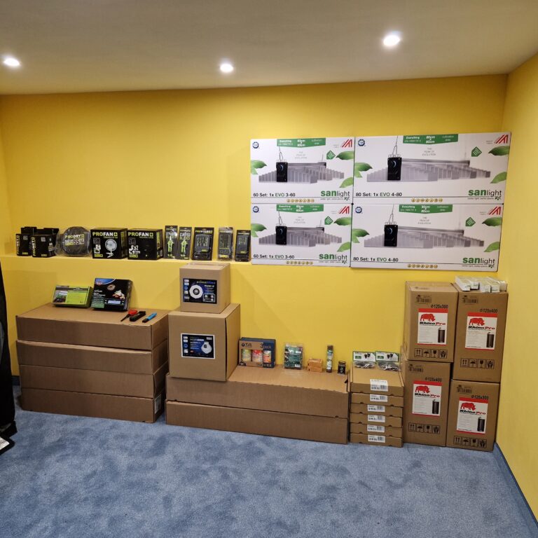 20230106 182408 768x768