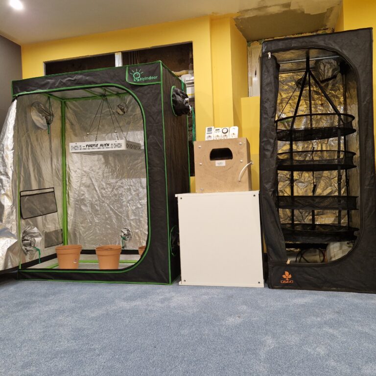 20230106 182920 768x768