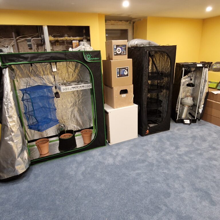 20230107 191728 768x768