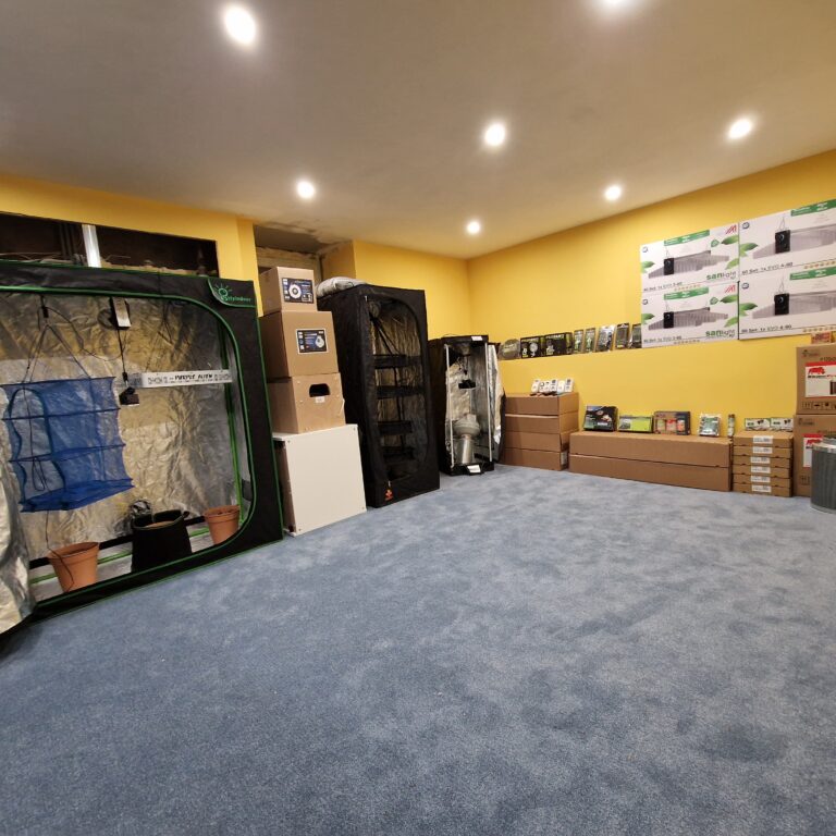 20230107 192418 768x768