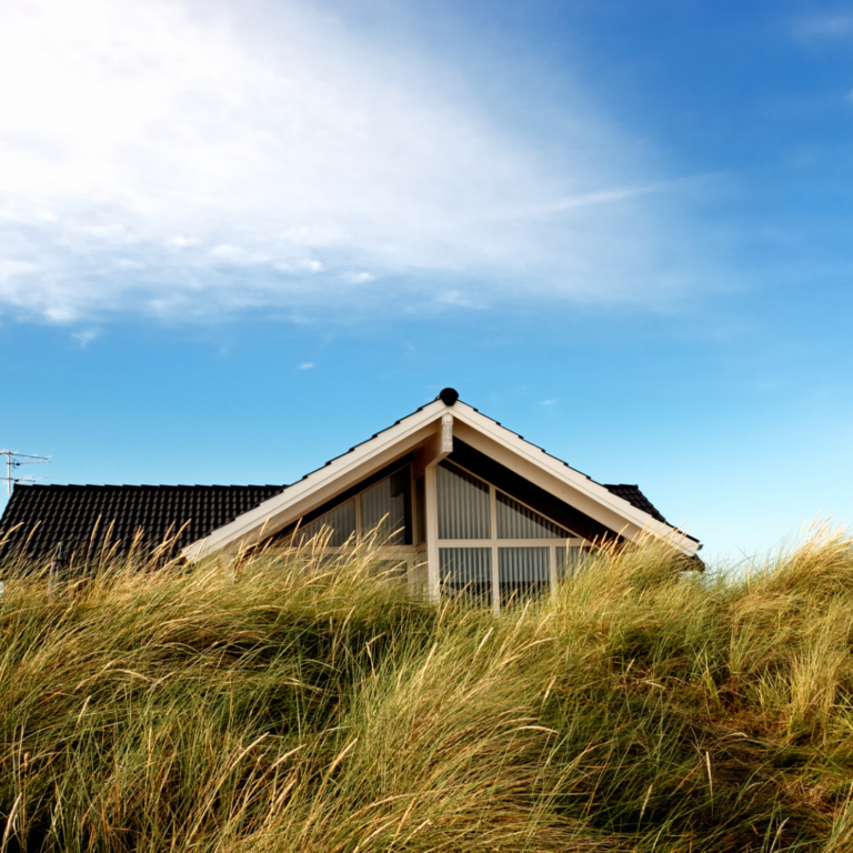 6BD0E844 66A5 4E12 92AA FF9A556448B6 768x768