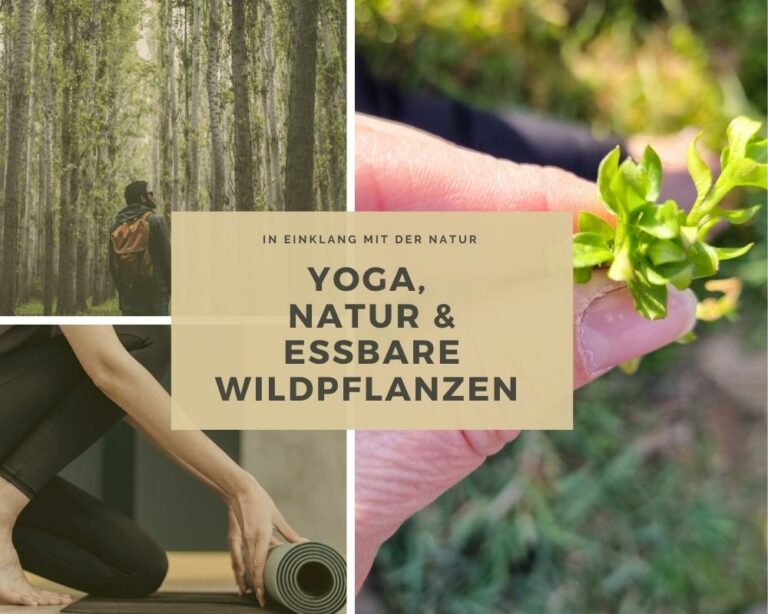 Beige Forest Fashion Photo Collage 768x614