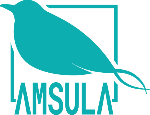 logo amsula