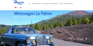 guenstige website fuer mietwagen verleih 300x150
