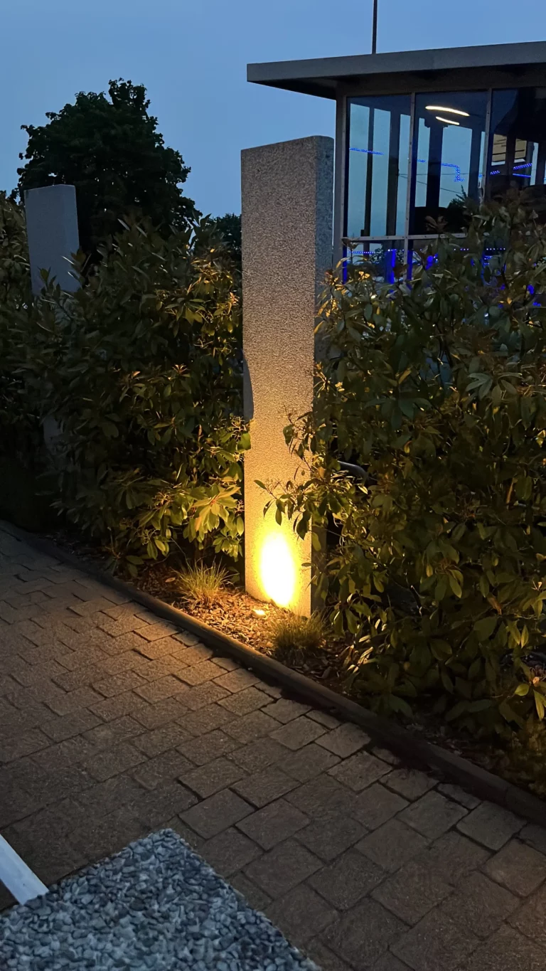 118CE59C D405 46F8 BD35 7E8CA1F7BAC2 min 768x1365