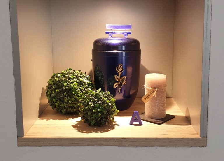 20230619 181007 768x555