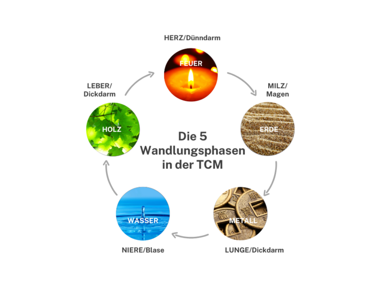 5 Wandlungsphasen TCM 1 768x576