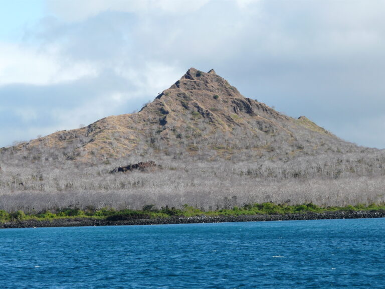 Cerro Dragon 768x576