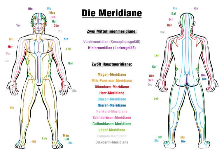 Meridiansystem TCM 768x529