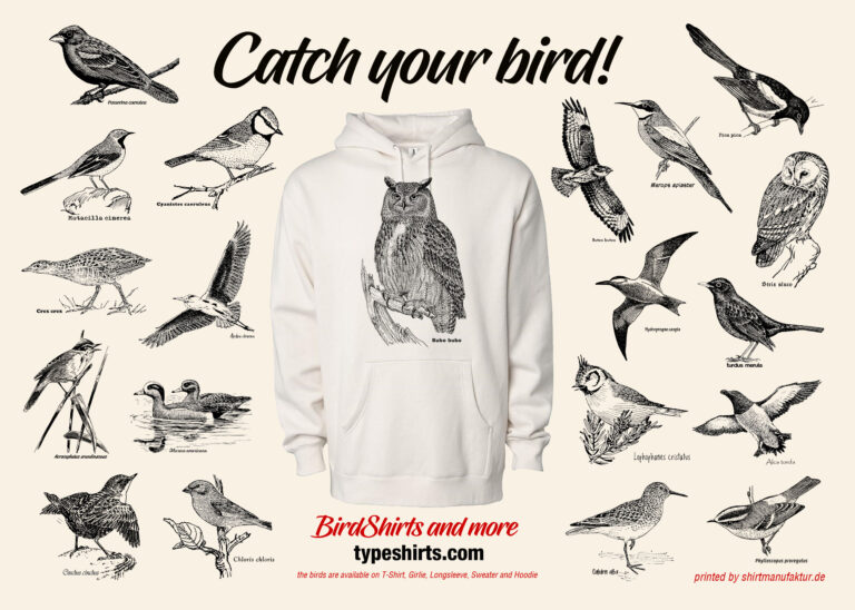 catch bird 2022 01 back web 768x548