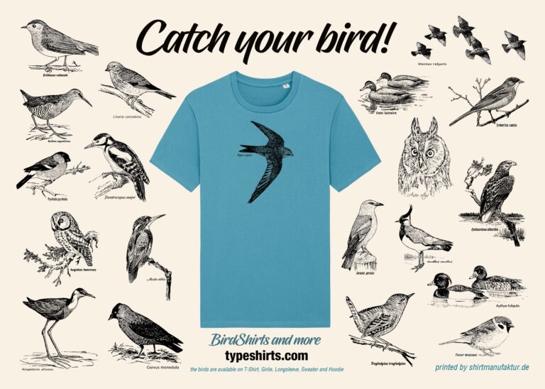 catch bird 2022 01 vorn web 768x548