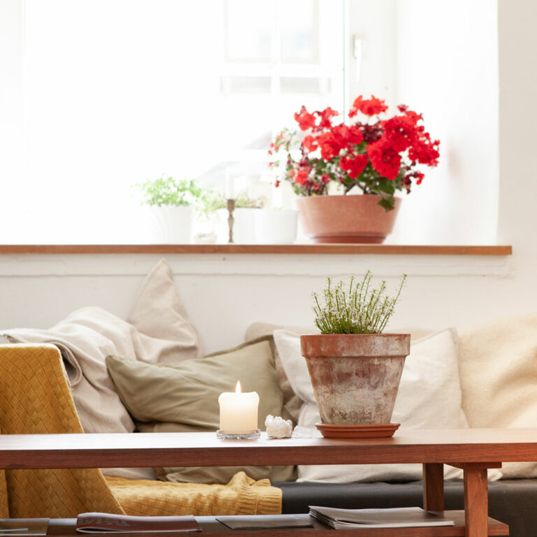 psychotherapeutin linz simbuerger praxis 768x768