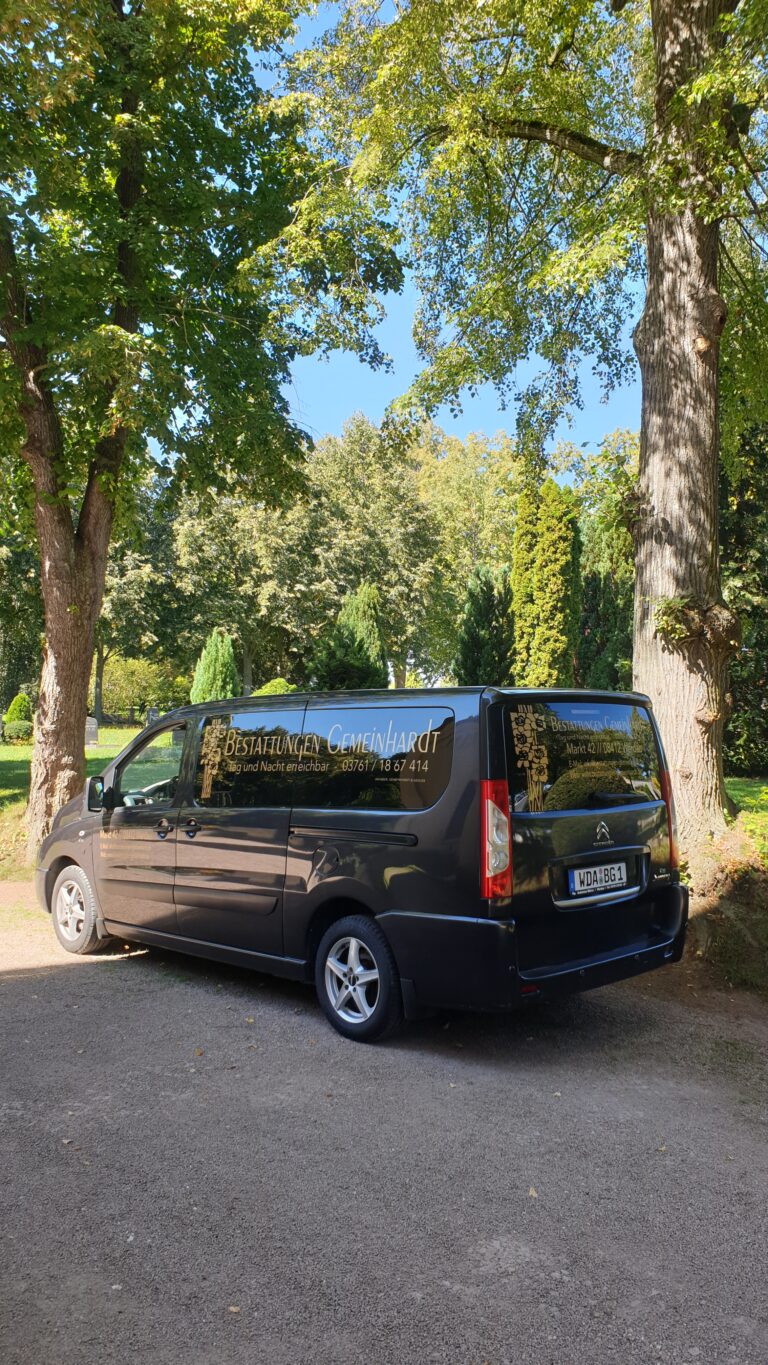 20230904 122501 768x1365