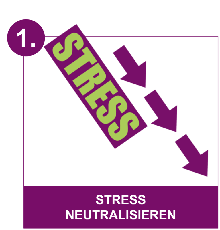 stress neutralisieren 768x804