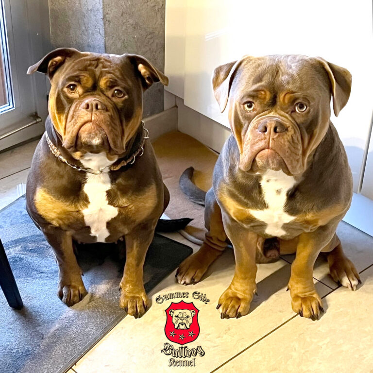 1DDF36FB B9C3 43A1 AC33 D9CCDE435DBE 768x768