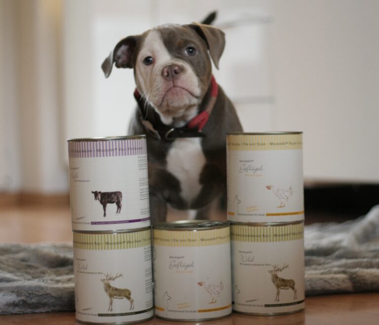 20181202 110752 768x659