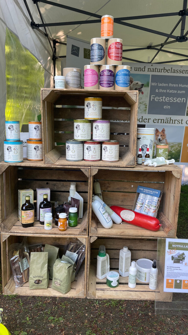 3CF6C62E 1D7E 453D A911 C9800561017A 1 768x1365