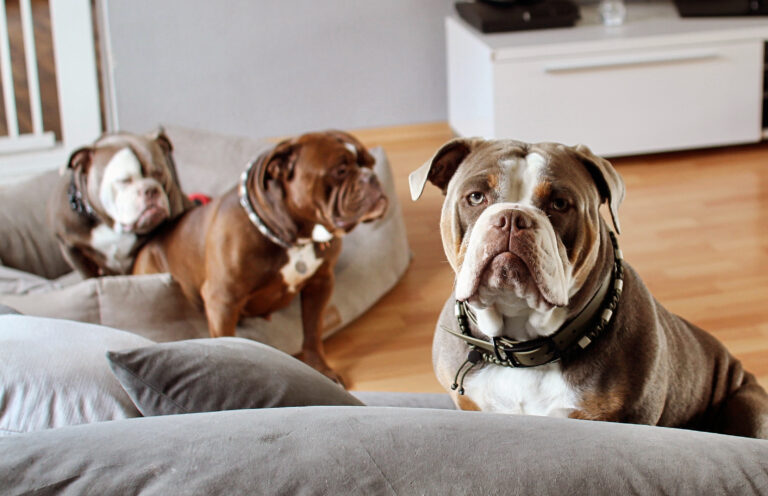 D3C50AAD EEA1 4375 BD9F 7C5D7D6A73D9 768x496