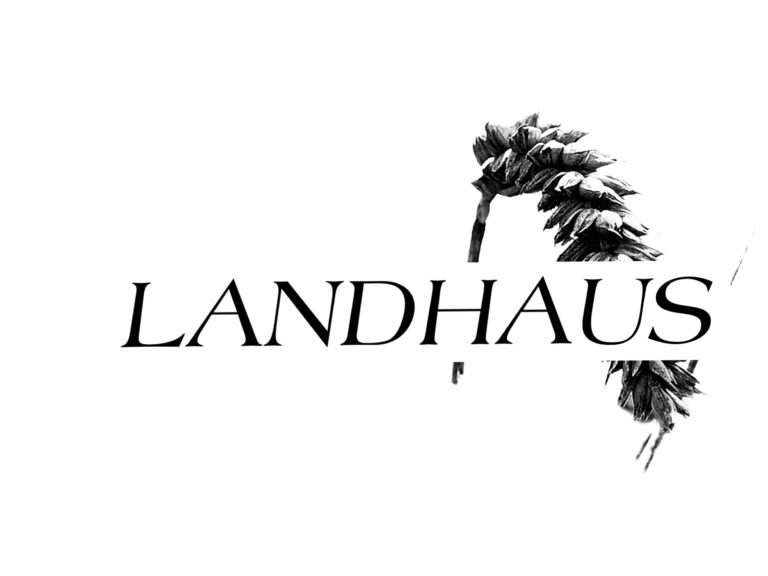 D702155D C7A9 4A90 8CA8 F8AEC2D1241D 768x576