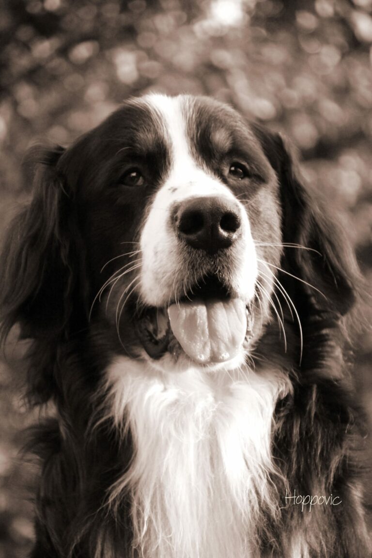 IMG 20230101 WA0033 768x1152