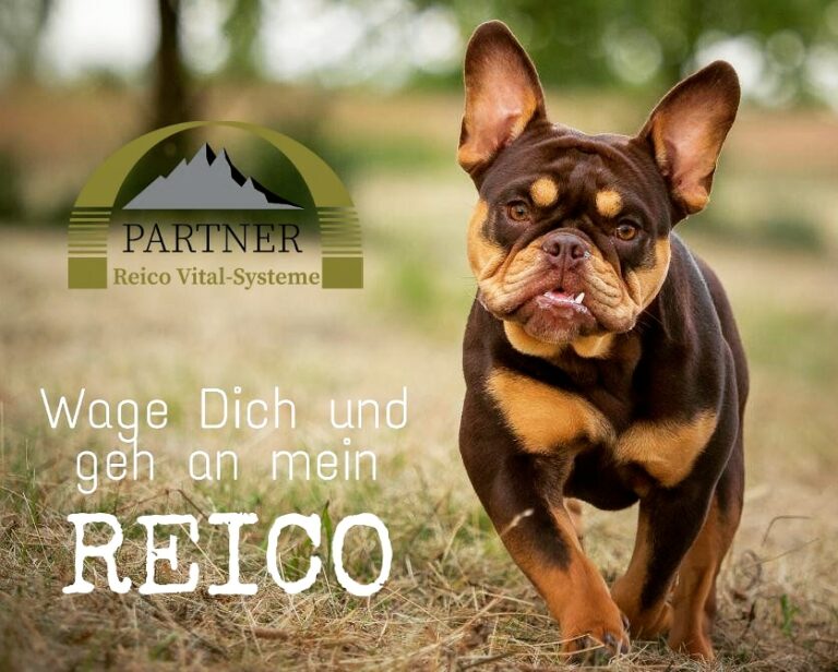 IMG 20190911 223255 603 768x616