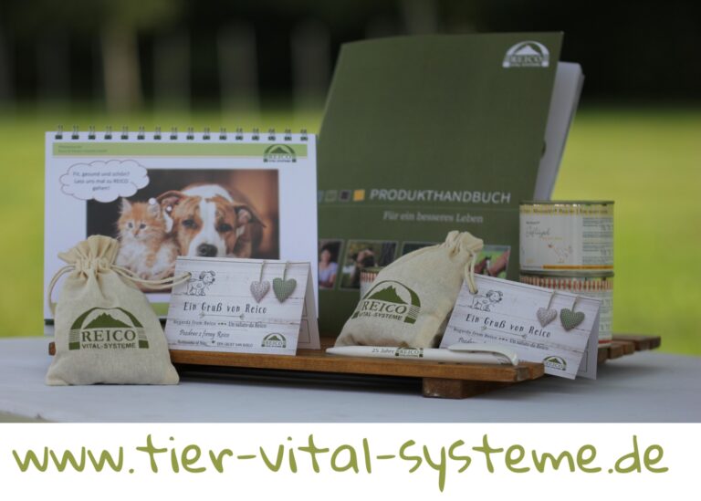 PicsArt 08 25 06.30.25 768x549