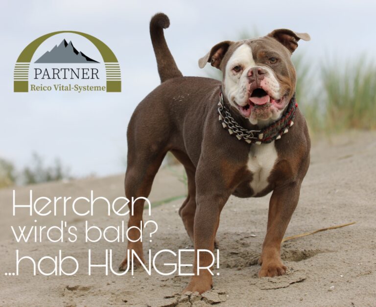 PicsArt 09 29 09.49.45 768x627