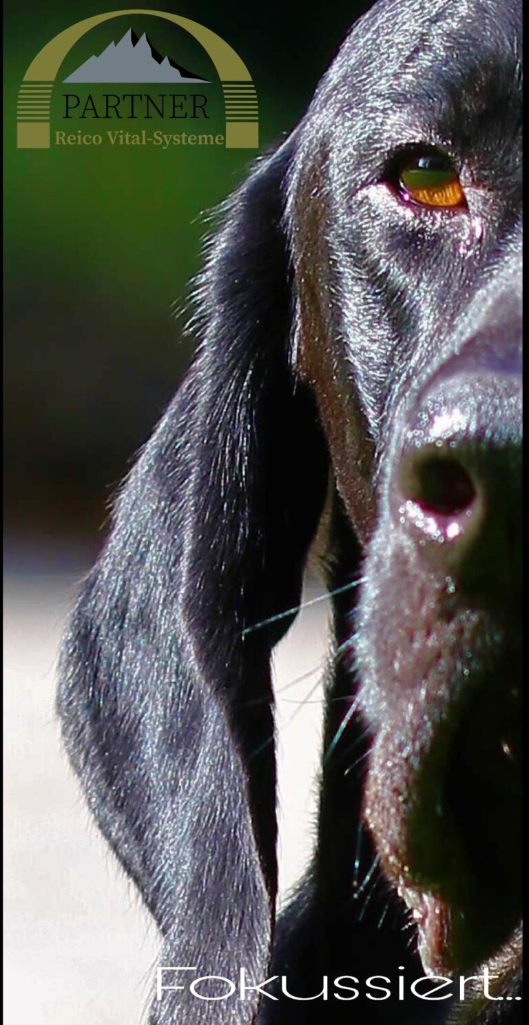 PicsArt 10 28 04.22.25 768x1486