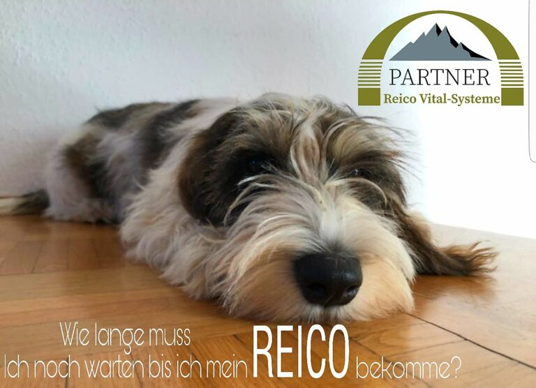 Screenshot 20190911 232149 768x556