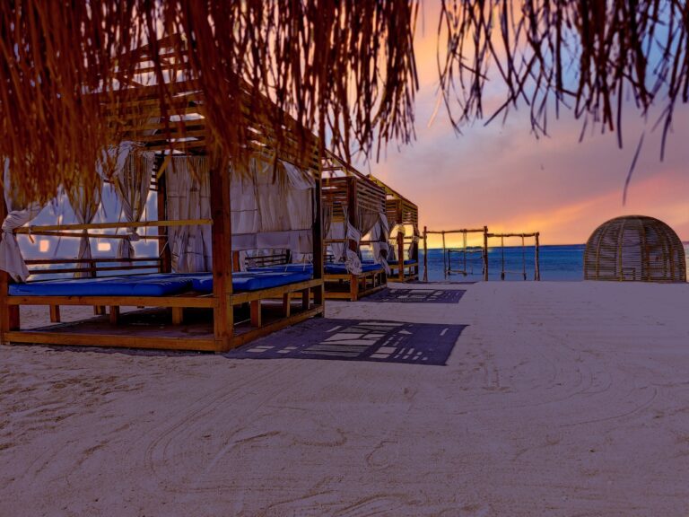 IMG 20240630 052501 768x576